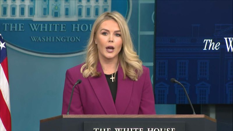 White House Press Secretary Karoline Leavitt